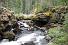 Natural Bridge